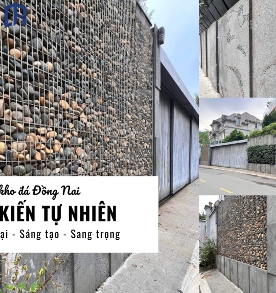 Đá Kiến Tự Nhiên